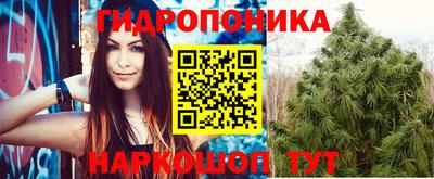 Альфа ПВП Бердск