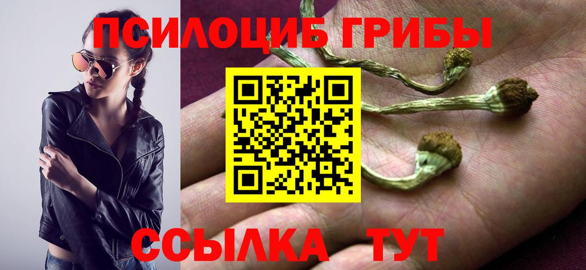 Псилоцибиновые грибы Psilocybine cubensis  Вход с VPN  Выборг 